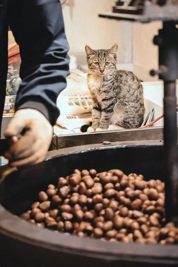 16395388975089128u6U.jpg 冬之味2_副本.jpg